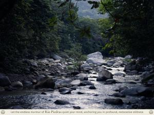 a river with rocks and trees in a forest at Kantawa Refugio de Bienestar in El Zaino