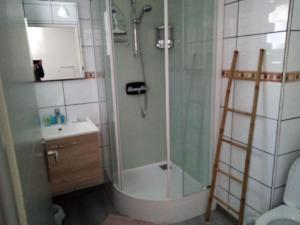a bathroom with a shower and a toilet and a sink at Le Flocon in Prémanon