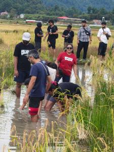a group of people standing in the water at Camp Wildnest Adventures Ziro in Ziro +2 photos