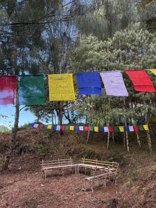 a row of prayer flags on a hill with a bench at Camp Wildnest Adventures Ziro in Ziro