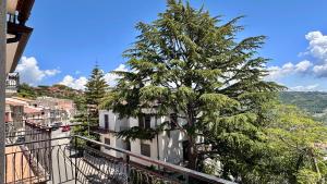 a tree on the balcony of a building at Cilento HOME in Ogliastro Cilento
