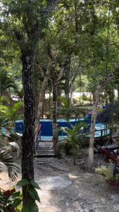 a group of trees with a blue boat in the background at Cabañas El paso Tulum in Chemuyil