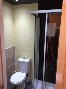 a bathroom with a toilet and a shower at The Trentham Hotel in Blackpool