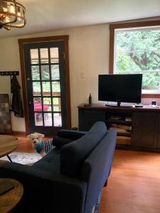a living room with a couch and a tv at Cabin by the Creek in Roberts Creek