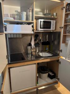 a small kitchen with a sink and a microwave at Villa Malena Guesthouse in Fensmark +38 photos