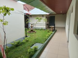 a courtyard with a garden in a house at Hostal Calle Real in León