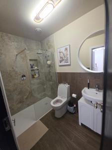 a bathroom with a shower and a toilet and a sink at The Boulevard in Dublin