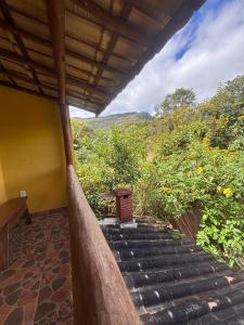 a porch of a house with stairs and trees at Hostel e Suites Caminho do Vale in Palmeiras