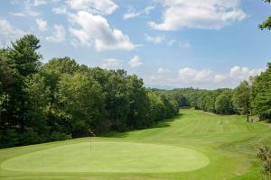 a view of a golf course with a green at The Nunv Cabin in Brevard