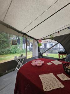 a tent with a table with pink dishes on it at Radbjerg privat camping in Væggerløse