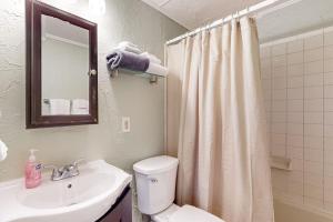 a bathroom with a sink and a toilet and a mirror at Lake Emory Gem in Franklin +11 photos