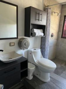 a bathroom with a toilet and a sink and a mirror at Access Blue Cristalh in Monterrey