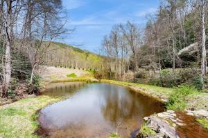 a small pond in the middle of a field at Creeksong Cabin in Topton