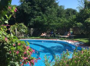 una piscina en un jardín con gente sentada a su alrededor en Lei Thar Gone Guest House en Yenangyaung