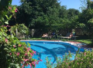 a swimming pool in a garden with people sitting around it at Lei Thar Gone Guest House in Yenangyaung