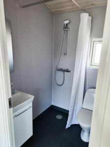 a bathroom with a shower and a toilet at BLÅBJERGGAARD - Hennebysvej 60 in Henne Strand +49 photos