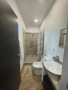 a bathroom with a toilet and a sink and a shower at Casa Mango Jardin in San Francisco