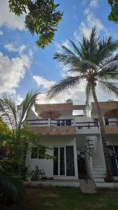 a house with palm trees in front of it at Casa Mango Jardin in San Francisco