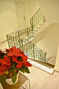Foto dalla galleria di Hotel Amaryllis a Maldegem