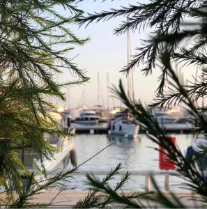 a view of a marina with boats in the water at My Marin Otel in Turgutreis
