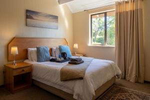a bedroom with a bed with blue pillows and a window at The Bedford View Guest House in Germiston +112 photos