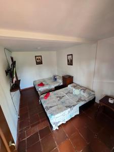 a room with two beds in a room at Finca hotel los cocos in Montenegro
