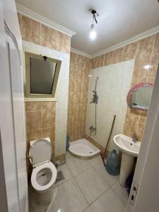a bathroom with a toilet and a sink at لاسرينا عيون موسي in Az Zaytīyah