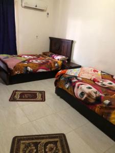 two beds in a room with rugs on the floor at لاسرينا عيون موسي in Az Zaytīyah