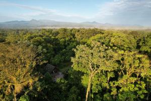 an aerial view of a house in the middle of a forest at FINCA La PAZ - Jungle Retreat - Best Wildlife Spot in Sarapiqui in Puerto Viejo