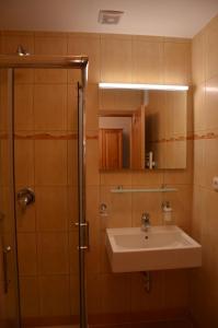 Koupelna v ubytování Haus Tolštejn + 37 fotografií