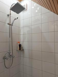 a shower with a shower head in a bathroom at Eurovelo6 Stop in Solt +49 photos