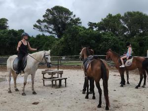 a woman riding a white horse next to two women on horses at Seaview Sunsets in Gqeberha +28 photos
