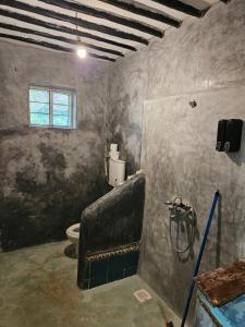 a bathroom with a shower and a toilet at Evergreen Bungalows in Bwejuu