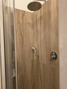 a shower with a shower head in a bathroom at MaGi-A apartment in Cecina +15 photos