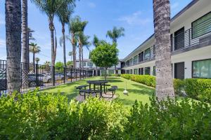 a courtyard with a picnic table and palm trees at Hyland Inn Van Nuys in Van Nuys