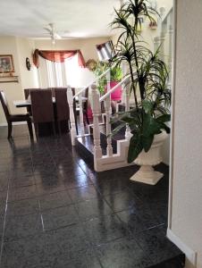 a living room with a table and a potted plant at House in a private gated community in Chihuahua