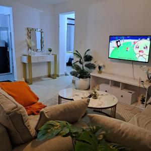 a living room with a couch and a flat screen tv at RyNa Homes in Meru