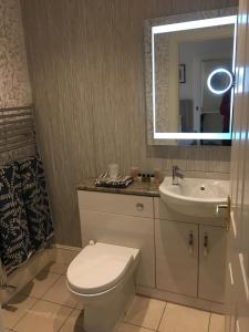 bagno con servizi igienici, lavandino e specchio di Ronas House a Inverness