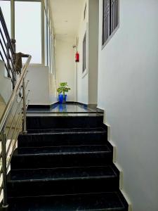 a staircase in a building with a potted plant at Hotel Ram Shankar - Saryu Ghat in Ayodhya