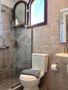 a bathroom with a toilet and a sink and a shower at GREEN and BLUE VILLA in Glykadi +39 photos