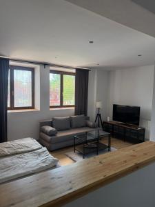 a living room with a couch and a television at Apartment Dubnica Prejta in Dubnica nad Váhom