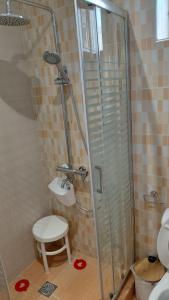 a bathroom with a shower with a toilet and a stool at Victoria's dream in Filiatra +26 photos