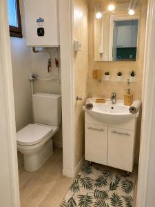 a small bathroom with a toilet and a sink at Cosy Green in Waulsort +17 photos