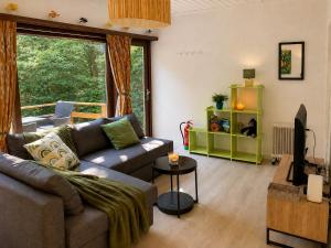 a living room with a couch and a tv at Cosy Green in Waulsort