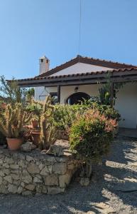 a house with a stone wall and some plants at Villa Batsheva Private and Detached in Roumelí