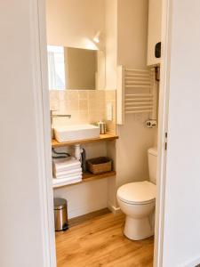 a small bathroom with a sink and a toilet at Charmant 2 pièces - centre historique - Vieux Mans in Le Mans +18 photos