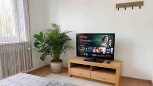 a flat screen tv on a wooden stand in a room with a plant at Villasobota in Rimavská Sobota