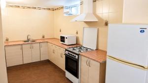 a small kitchen with a stove and a microwave at У Олексія in Karolino-Buhaz