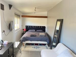 a bedroom with a bed and a mirror at Dépendance de Maison in Saint-Genis-Laval