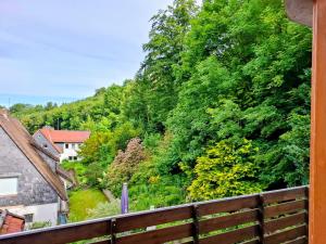 a view of a hill with trees from a balcony at Biker Hotel Harmonie in Bad Grund